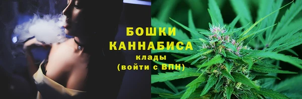мдпв Карпинск