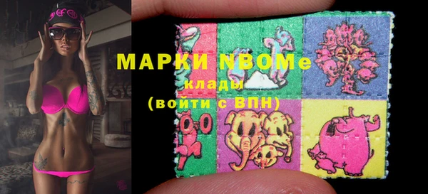 амф Инта