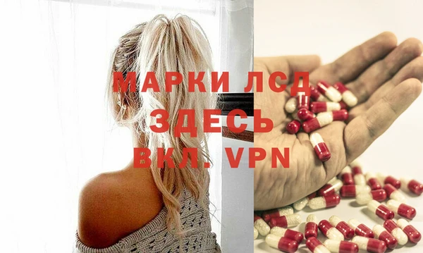 амф Инта