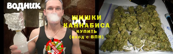 амф Инта