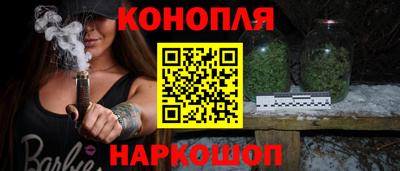 тгк Кингисепп