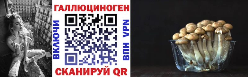Галлюциногенные грибы MAGIC MUSHROOMS  где можно купить наркотик  Костомукша 