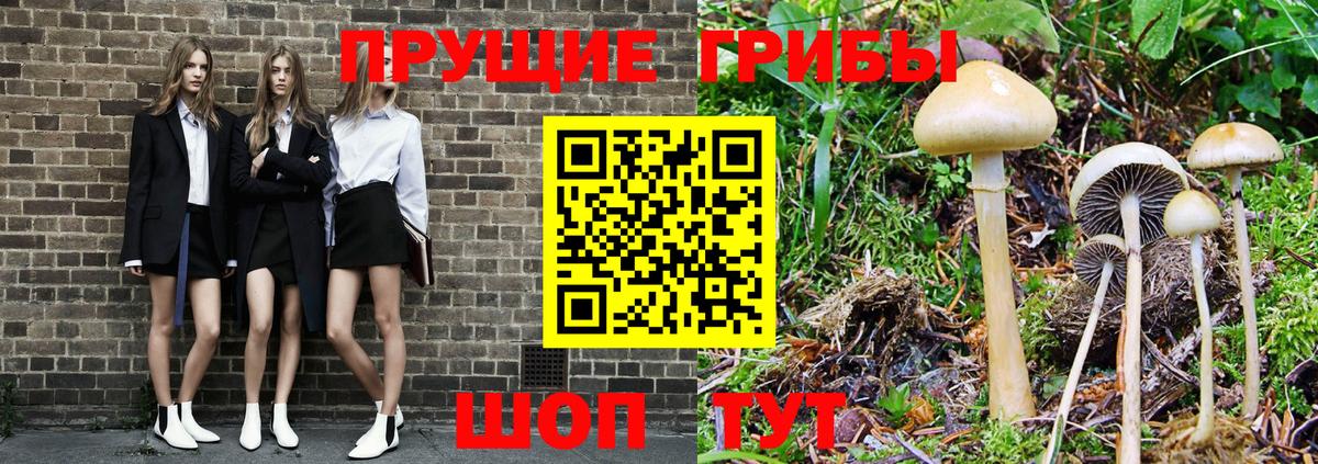 Псилоцибиновые грибы прущие грибы  Вход с VPN  Костомукша  Галлюциногенные грибы GOLDEN TEACHER 