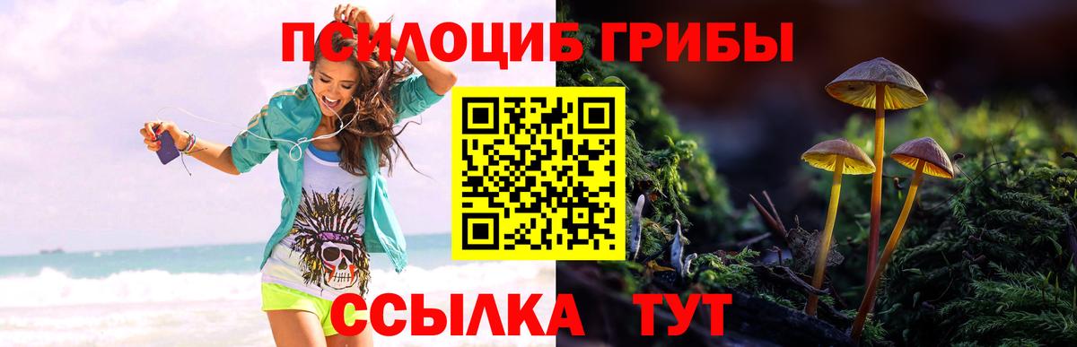 Псилоцибиновые грибы ЛСД Костомукша